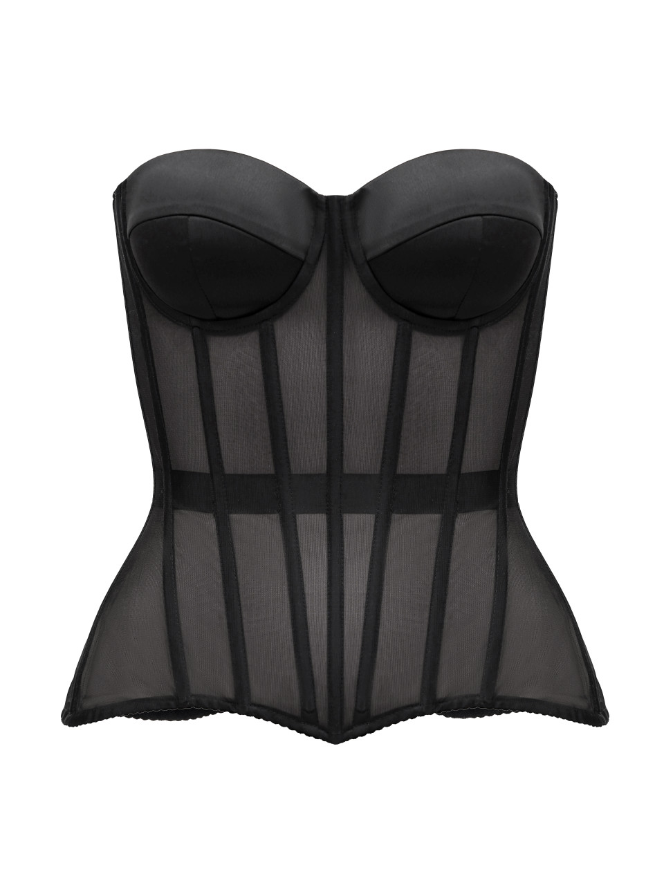 Transparent Mesh Corset in Black Lia